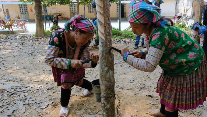 Dạy nghề khai thác &apos;vàng trắng&apos; ở rẻo cao